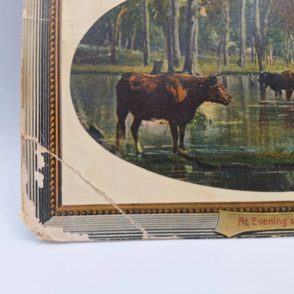 Vintage National Series Postcard At Evenings Close Pastoral Cows Water Scene Old